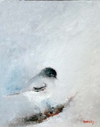 Frågande 33x39 cm