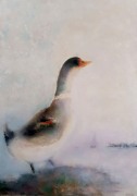 Självsäker 63x84 cm